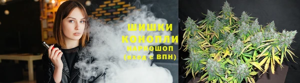 кристаллы Болотное
