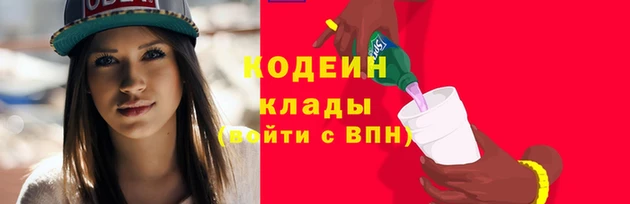 МДПВ Нея