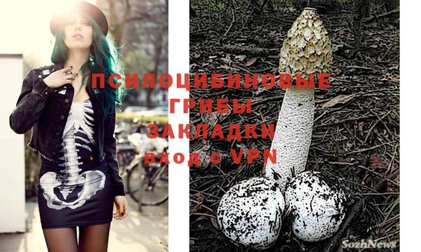 мдпв Болохово