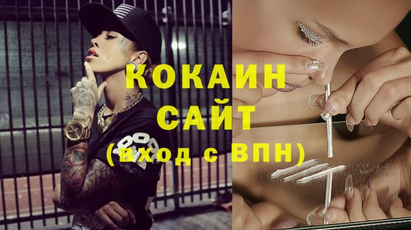 МДПВ Нея