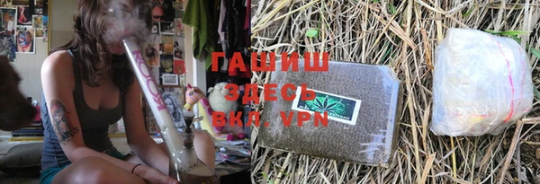 PSILOCYBIN Болхов