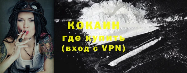 дмт Инсар