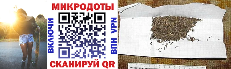 Псилоцибиновые грибы мицелий  наркота  Завитинск 