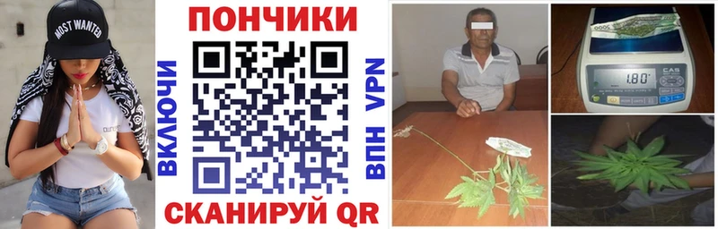 где можно купить Завитинск Канабис конопля